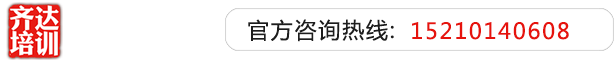 操逼高清无码视频齐达艺考文化课-艺术生文化课,艺术类文化课,艺考生文化课logo